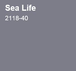 Benjamin - Moore | Sea Life | online kaufen